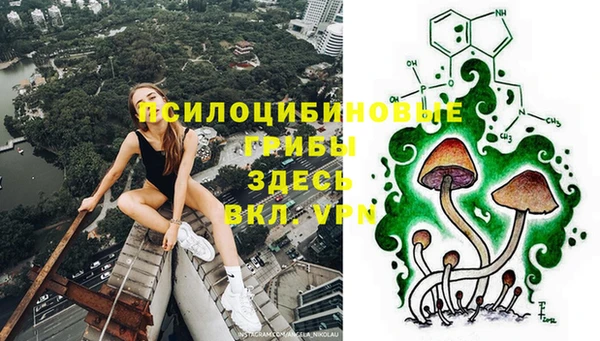 таблы Алзамай
