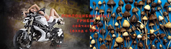 стафф Алексеевка